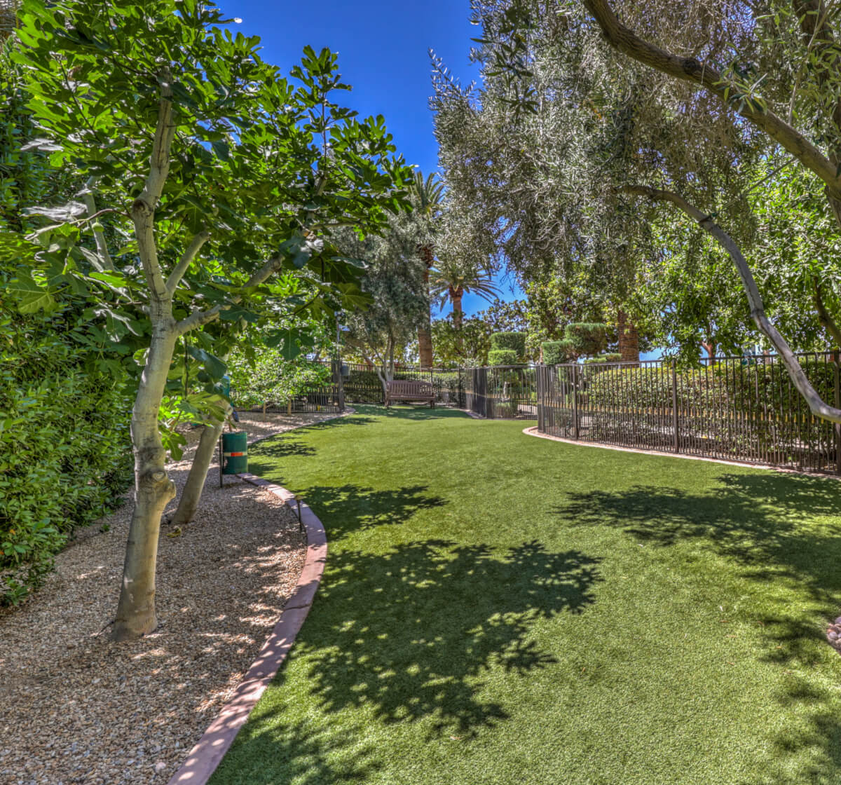 A serene dog park featuring lush green grass and majestic trees, perfect for playful pups and leisurely strolls.