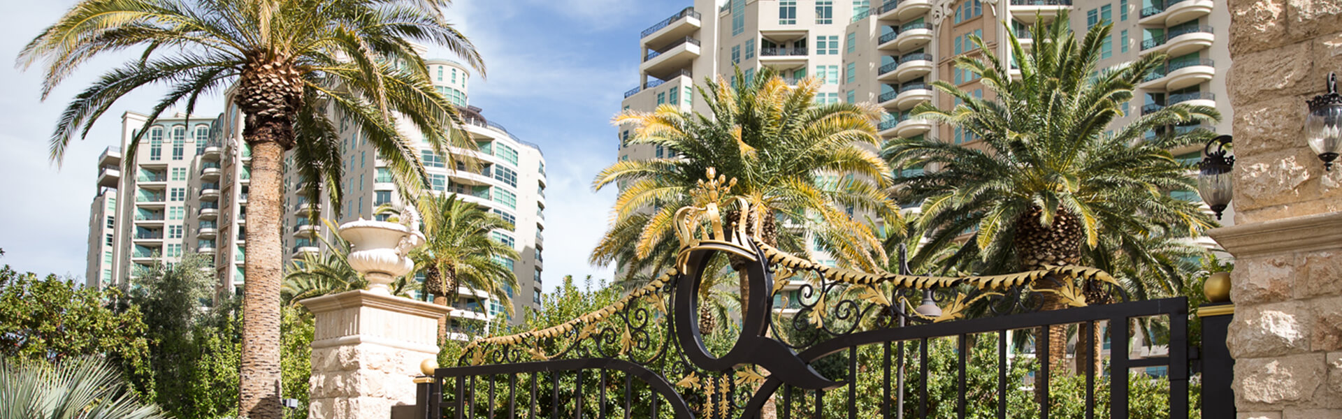 Lush palm trees gracefully frame an elegant gate, bordered by a refined fence, evoking a sense of tropical luxury.